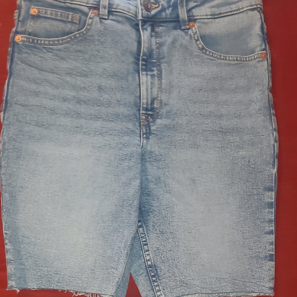 Divided H&M Blue Frayed Denim Shorts